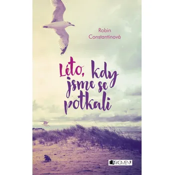 Léto, kdy jsme se potkali - Robin Constantine