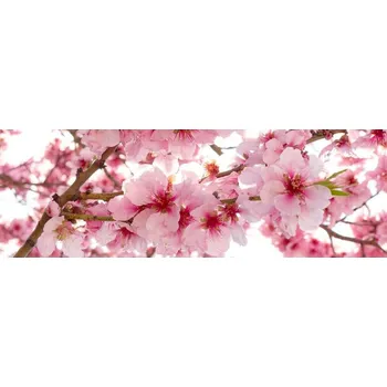 Fototapeta Samolepicí fototapeta na kuchyňskou linku Květy jabloní KI180-054 / Fototapety do kuchyně Dimex (180 x 60 cm)