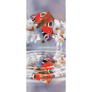 Fototapeta Fototapeta na dveře Motýl Výprodej - samolepící 91 x 211 cm