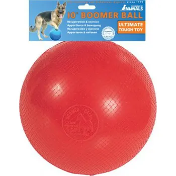 The Company of Animals Boomer Ball