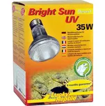 Lucky Reptile Bright Sun UV Desert