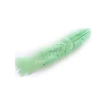 Nailee Peří zelené 2ks