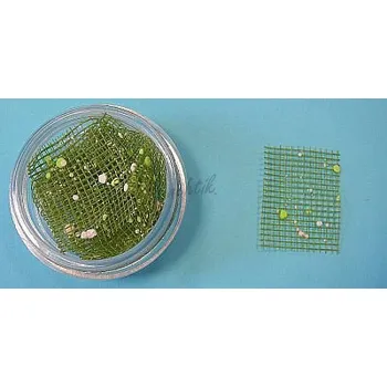 Sun Flower Zdobení nehtů - Barevná síťka S43 zelená