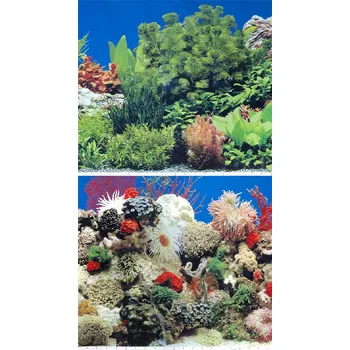 Tapeta Oboustranná tapeta rostliny, korály 49x100cm