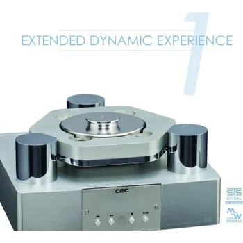 Zahraniční hudba STS Digital - Extendet Dynamic Experience 1 (CD)