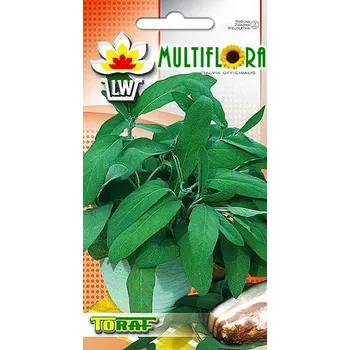 Semeno Semena Šalvěj lékařská Salvia officinalis 0,5 g