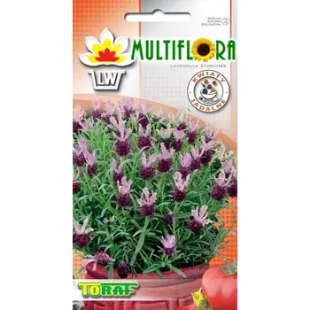 Semeno Semena LEVANDULE FRANCOUZSKÁ - Lavandula stoechas 0,1 g