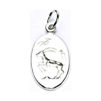 Přívěsek Stříbrný přívěšek,znamení zvěrokruhu,kozoroh,přívěsek ze stříbra, P 902