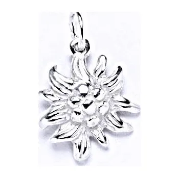 Přívěsek Stříbrný přívěšek. velká protěž, přívěšek ze stříbra, P 794