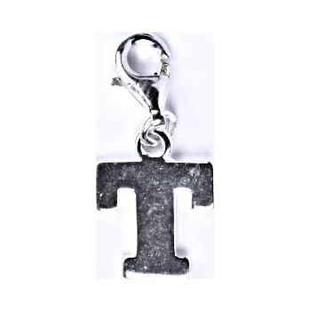 Přívěsek Stříbrný přívěšek písmenko T na karabince, P 904