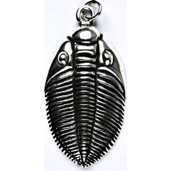 Přívěsek Stříbrný přívěsek, trilobit s patinou, přívěšek ze stříbra P 218