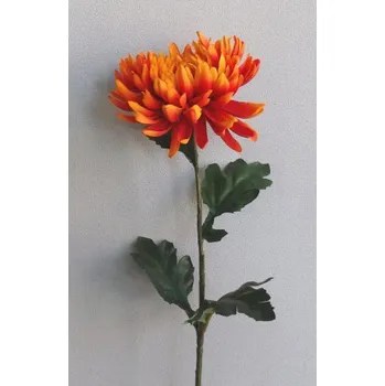 Dámské punčochy Chryzantéma 100-0021/OR