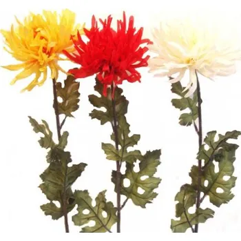 Chryzantéma , Barva žlutá GT0204535