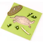Pruefl Montessori pomůcky puzzle s kostrou želva