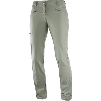 Salomon Wayfarer Pant W 392992