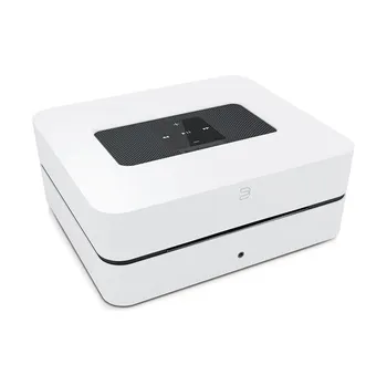Elektronika Bluesound Vault 2