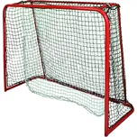 Sona branka na florbal