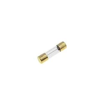 SCHURTER Pojistka tavná zpožděná sklěněná 1A 250VAC 5x20mm SMD měď