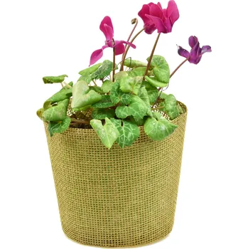 Květináč Vingo Květináč světle hnědý s igelitovou vložkou - 15 x 13 cm