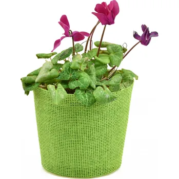 Květináč Vingo Květináč zelený s igelitovou vložkou - 15 x 13 cm