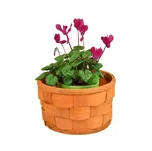 Vingo Sada 2 oranžovýcho balů s PVC vložkou