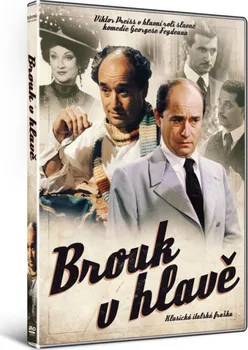 DVD film DVD Brouk v hlavě (2002)