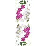 Samolepka Orchids SPN40WD