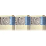 Energy Group Skeletin