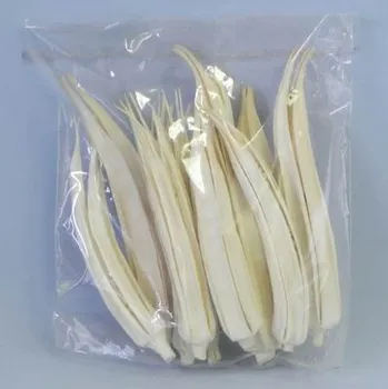 Zahradní dekorace Lusk sušina S/12 bílá (6035H-650)