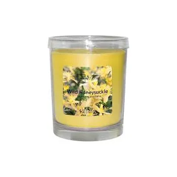 Svíčka Candle Lite - Mainstays CANDLE-LITE Mainstays Svíčka ve skle - Wild Honeysuckle 170 g