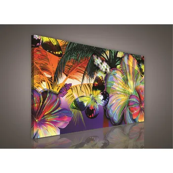 Obraz Obraz na plátně Barevní motýli 100 x 75 cm