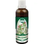 Naděje Brusinka 50 ml