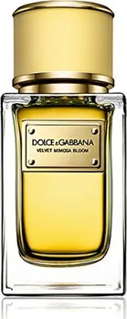 Dámský parfém Dolce & Gabbana Velvet Mimosa Bloom W EDP