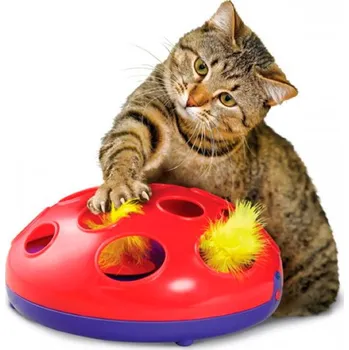 Kong glide n seek outlet