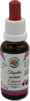 Přírodní produkt Salvia Paradise Echinacea - Třapatka nachová AF tinktura