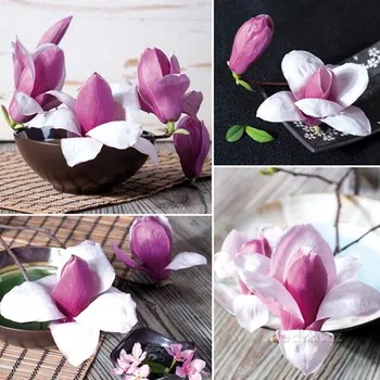 Obraz Obraz na plátně 70 x 70 cm digitální tisk na canvasové plátno