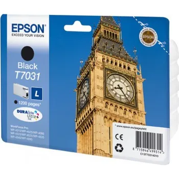 Originální Epson T7031 (C13T70314010) Originální Epson T7031 (C13T70314010)