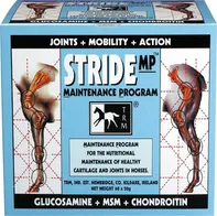 TRM Stride MP 60x 20 g