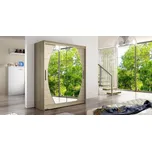 Falco Wentura VIII, dub sonoma