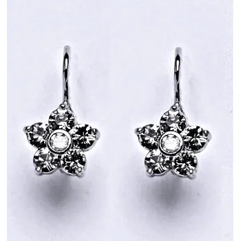 Náušnice Stříbrné náušnice se Swarovski čirými krystaly, NK 1444