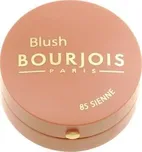 Bourjois Paris Blush Fard Pastel 2,5 g
