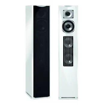 Quadral Platinum M40