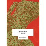 Sněžím - Pavel Kohout