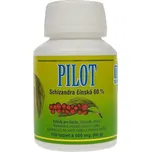 Hemann Pilot tbl. 100