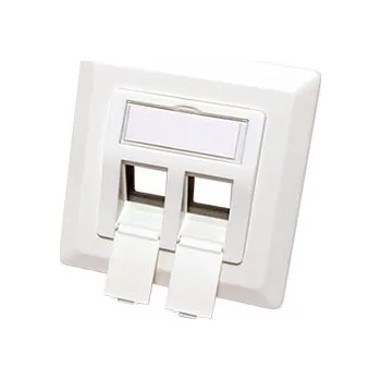 ROLINE Čelo zásuvky pro 2x modul Keystone, 45° (neosazené) - 25.16.8579