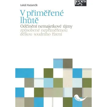 V přiměřené lhůtě: Odčinění nemajetkové…