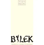 Bílek: Svědectví o bratru Františkovi -…