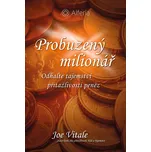 Probuzený milionář: Odhalte tajemství…