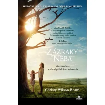 Zázraky z nebe - Christy Wilson Beam