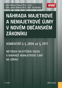 Náhrada majetkové a nemajetkové újmy v novém občanském zákoníku: Komentář k § 2894 až § 2971 - Blanka Vítová, Jakub Dohnal, Jan Kotula